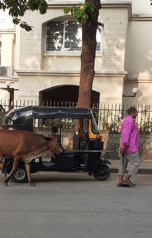 Vivir en la Bombay: “La India es mucho más que meditar y hacer yoga".
