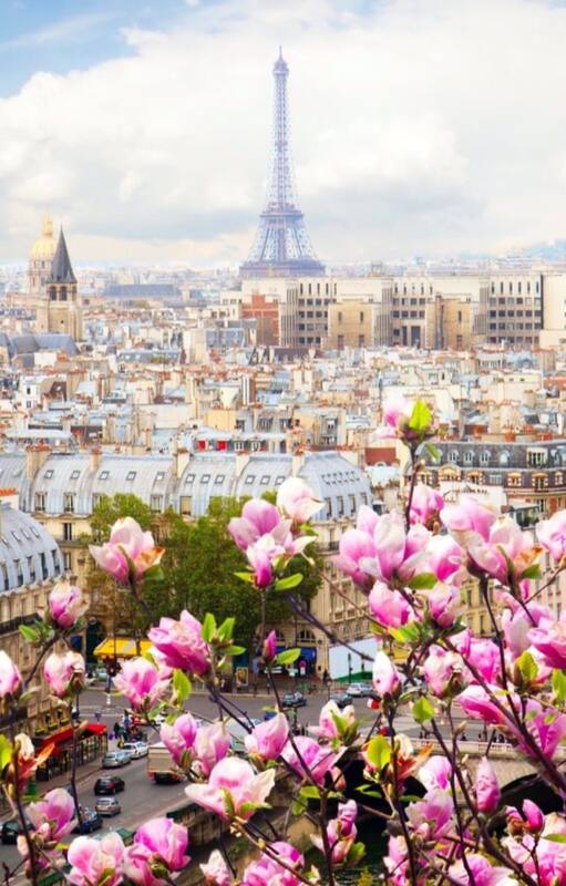 Vivir en París: “Acá las formas tienen gran importancia y su ausencia se castiga”.