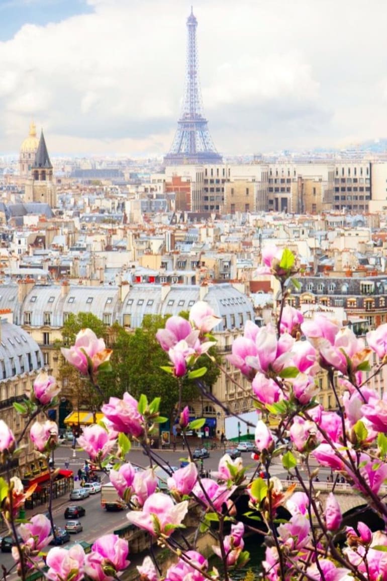 Vivir en París: “Acá las formas tienen gran importancia y su ausencia se castiga”.