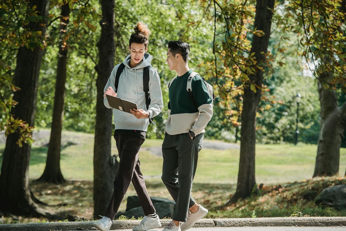 Vivir en una zona donde abunda la naturaleza puede disminuir las posibilidades de sufrir alguna enfermedad cardiaca
