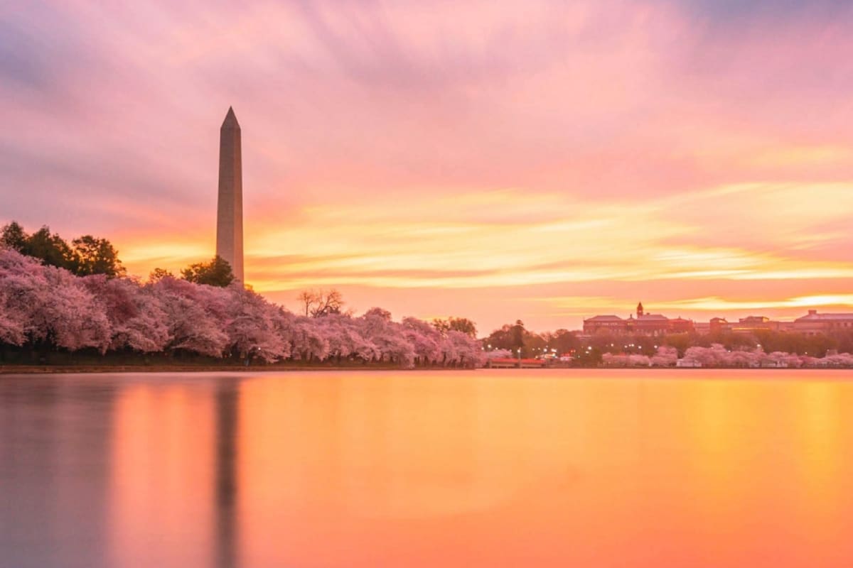 Vivir en Washington D.C.: “Me dijeron que era demasiado argentino, que me vuelva”.