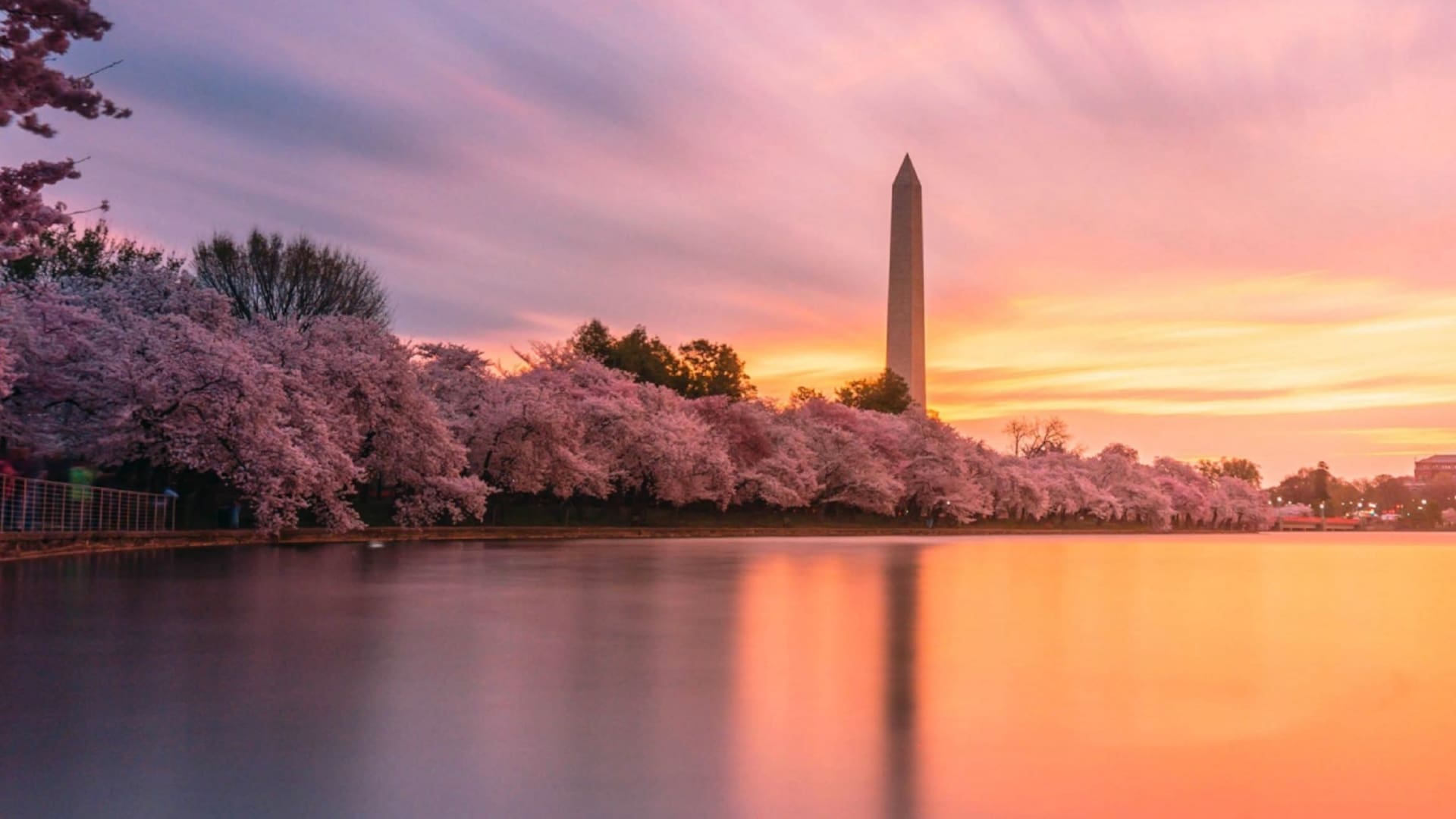 Vivir en Washington D.C.: “Me dijeron que era demasiado argentino, que me vuelva”.