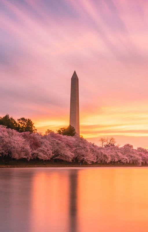 Vivir en Washington D.C.: “Me dijeron que era demasiado argentino, que me vuelva”.