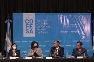 Vizzotti, en la reunión del Consejo Federal de Salud hoy