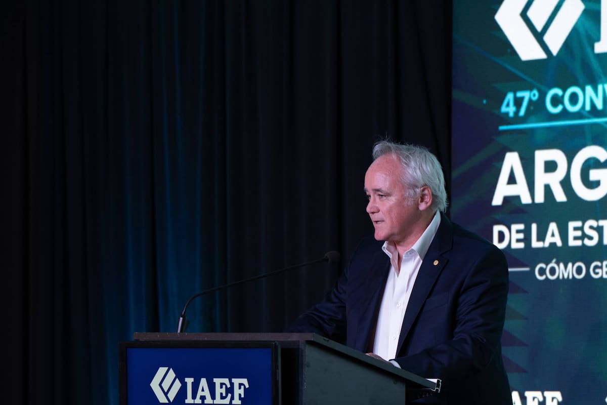 Vladimir Werning, durante su exposición en el IAEF