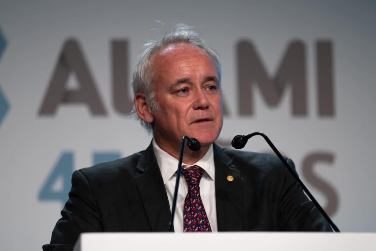 Vladimir Werning, vicepresidente del Banco Central de la República Argentina