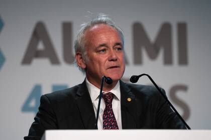 Vladimir Werning, vicepresidente del Banco Central de la República Argentina