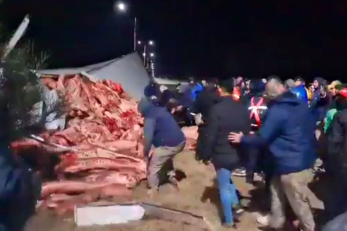 Volcó un camión con medias reses, en Fraga, San Luis