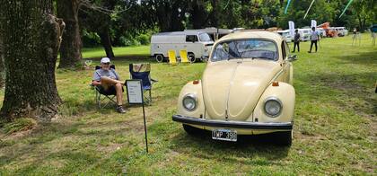Volkswagen Fan Day