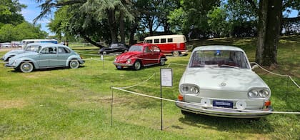 Volkswagen Fan Day