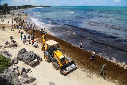 Voluntarios colaboran con la limpieza de las playas en Cabo de Santo Agostino, por el derrame de petróleo.