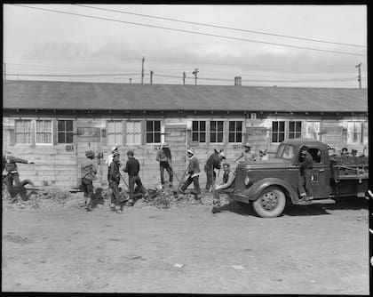 Voluntarios de ascendencia japonesa realizan trabajos de construcción en las instalaciones de los campos (Dorothea Lange, 1942)
