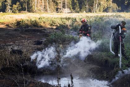 Voluntarios de Greenpeace y activistas locales extinguen un incendio de turba en un bosque de Suzunsky junto a la aldea de Shipunovo, Rusia