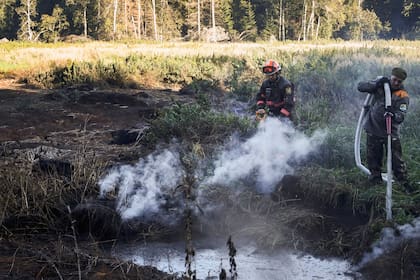 Voluntarios de Greenpeace y activistas locales extinguen un incendio de turba en un bosque de Suzunsky junto a la aldea de Shipunovo, en Rusia