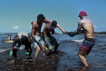 Voluntarios trabajan para limpiar el petróleo que provocó un desastre ecológico