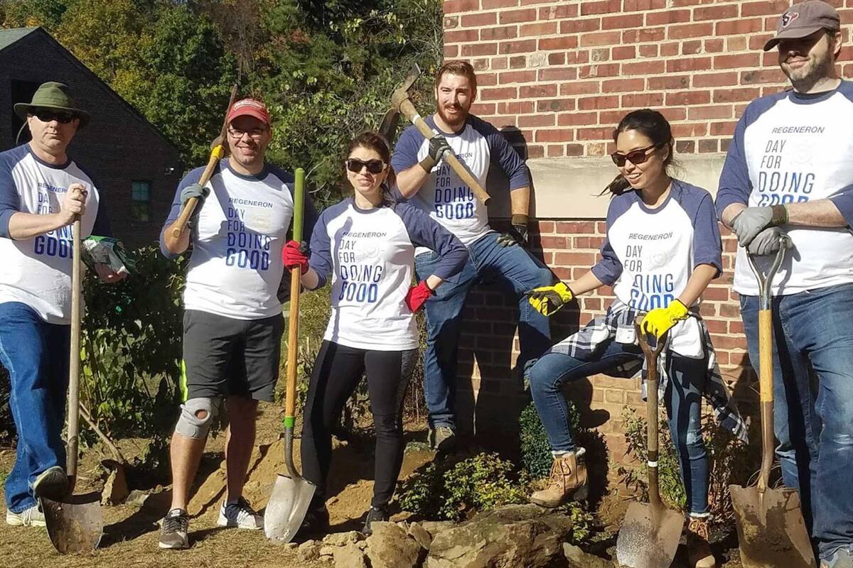 Volunteer New York proporciona oportunidades tanto para donaciones monetarias como para involucrarse en actividades de voluntariado (Volunteer New York )