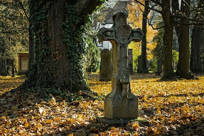 Volver de la muerte puede parecer un alivio, pero para esta usuaria, todo el momento fue "humillante"