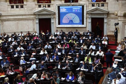 Votación de artículos en particular en la Cámara de Diputados, que derivó en el fracaso de la Ley de Bases original