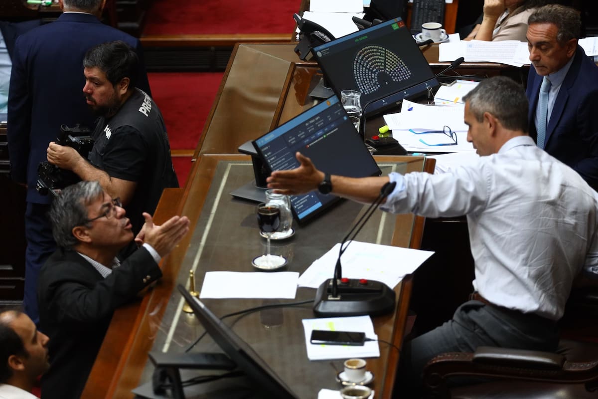 Votación durante el debate en particular de la "Ley Ómnibus"