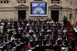 Votación en Diputados