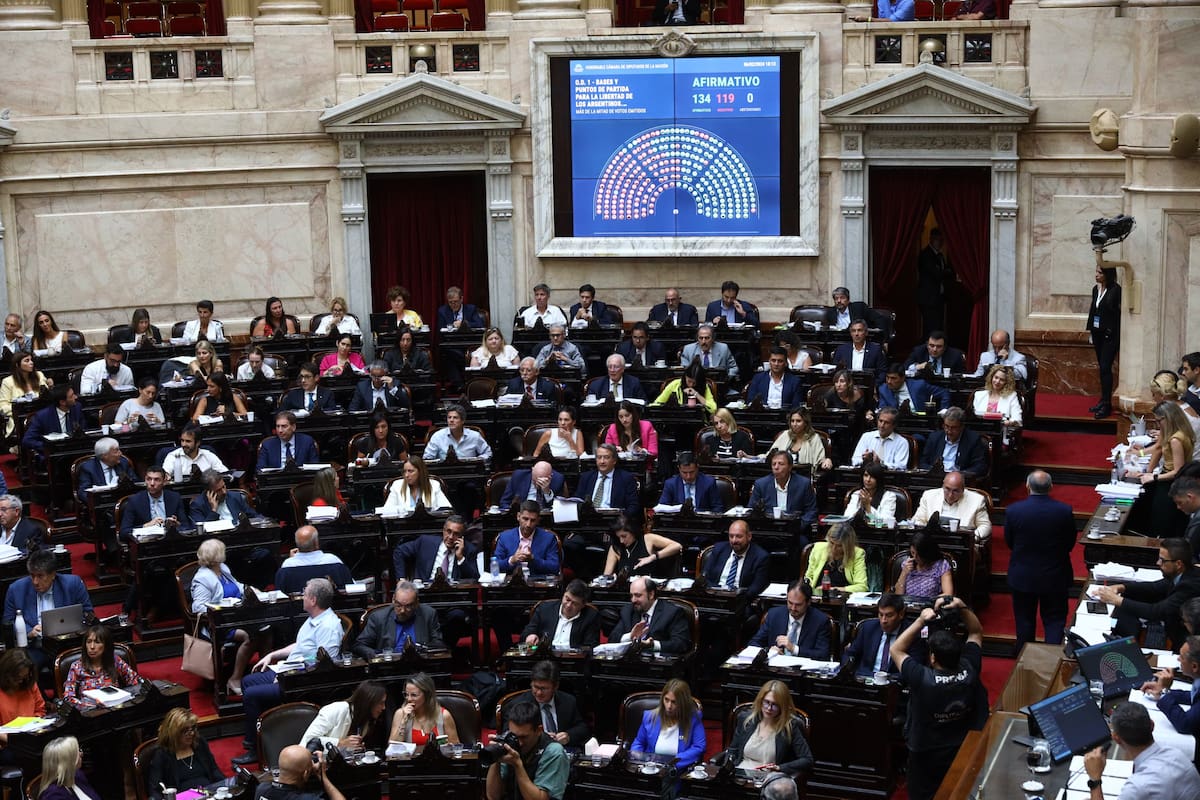 Votación en Diputados de la ley ómnibus que incluía, entre muchas otras, la ley de manejo de fuegos