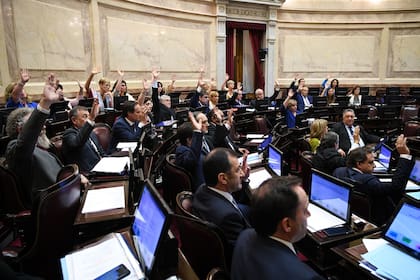 Votación en el Senado por la ley de solidaridad