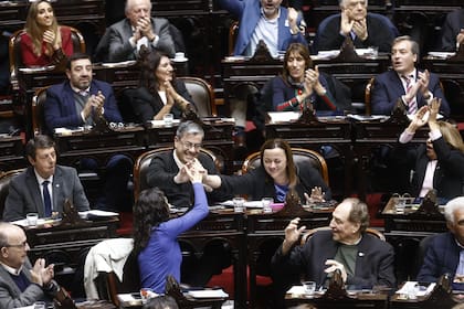 Votación en la Cámara de Diputados por la ley de emergencia en discapacidad