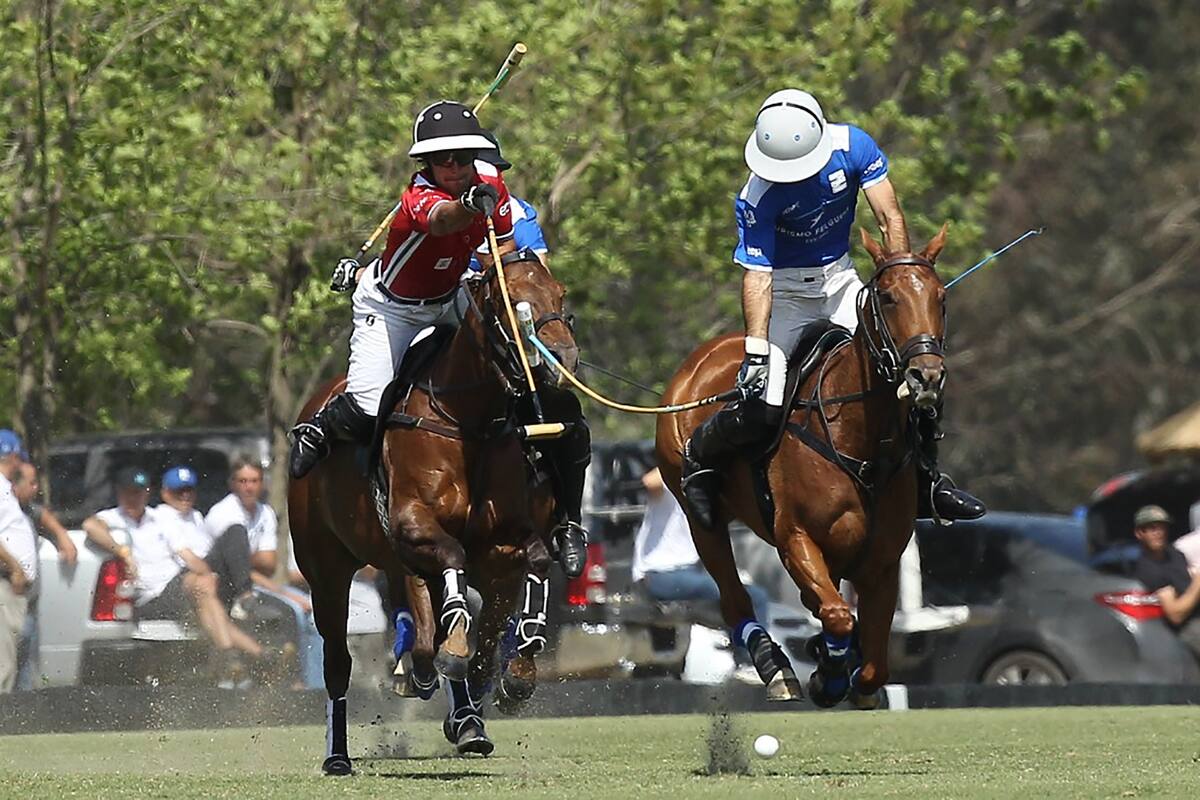 Vuela Nicolás Pieres, bien afirmado en la montura pero con riesgo de traba de tacos; Ellerstina fue mucho mejor que La Irenita III en su debut en el Abierto de Hurlingham 2022.