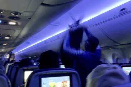 Vuelo de Delta retrasado porque dos palomas se colaron en un avión en Minneapolis