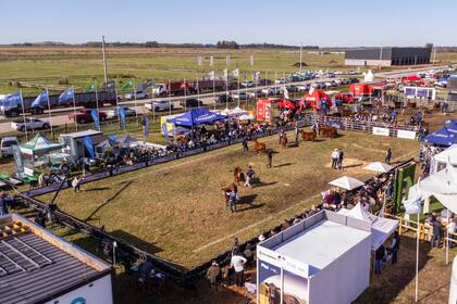 Vuelve la Semana Angus de Primavera