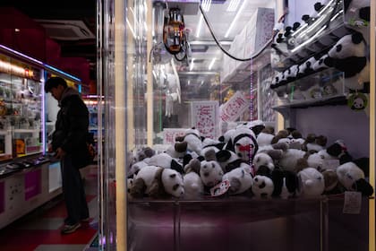 Vuelven a China los últimos dos pandas de Japón en medio de tensiones entre ambos países