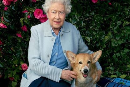 Vulcan, uno de los dos perros de la reina Isabel II, falleció en las últimas horas y fue enterrado en el Castillo Windsor