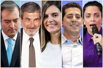 Wado de Pedro, Salvarezza, Volnovich, Raverta, Soria