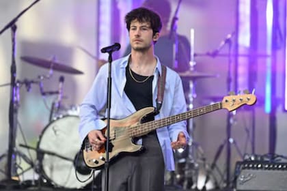 Wallows es su banda de rock creada en 2017