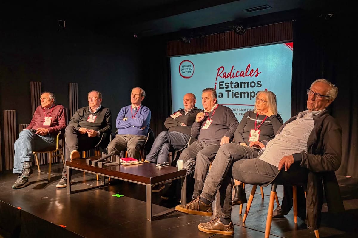 Walter Ceballos, Ernesto Sanz, Adolfo Stubrin, Jesús Rodríguez, Mario Negri, Lilia Puig y Facundo Suárez Lastra encabezaron el debate partidario
