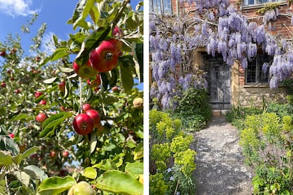 "Walter era un jardinero de buen tiempo y no le interesaba lo que sucedía en el jardín durante el invierno. Quería lucir su escenario bajo el sol, cuando podía disfrutarlo, y a lo largo de su vida no me permitió poner muchas flores de floración termprana o tardía"