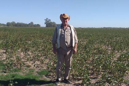 Walter Hoffer en un lote de soja que, si hubiera sido un año normal con lluvias, debería tener plantas de un metro
