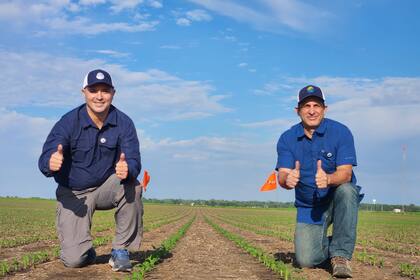 Walter Santone y Federico Cola, fundador de SeedMatriz en una prueba de campo en Bement, Illinois