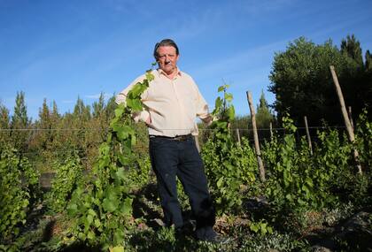 Walter Treffinger, productor de la granja Don Neno.