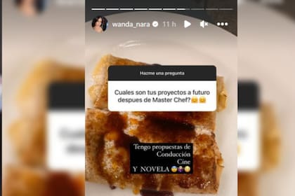 Wanda Nara reveló sus proyectos a futuro (Captura Instagram @wanda_nara)