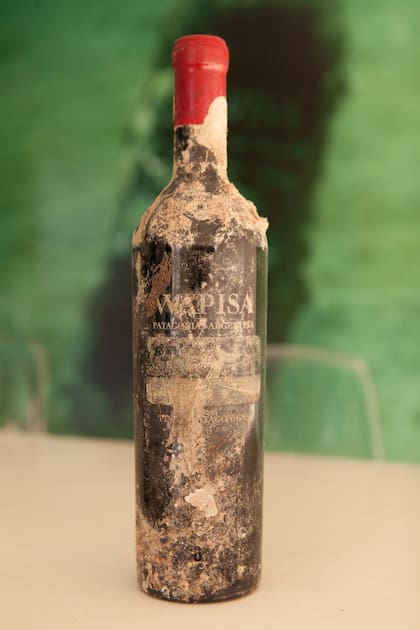 Los vinos de Wapisa se guardan en una jaula en el fondo del mar.