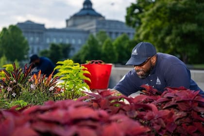 Washington DC declaró estado de sequía tras un verano con temperaturas récord
