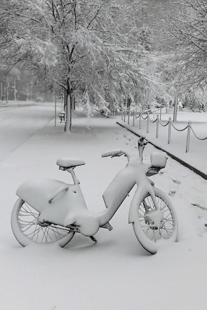 Washington; nieve; el mundo; tormanta