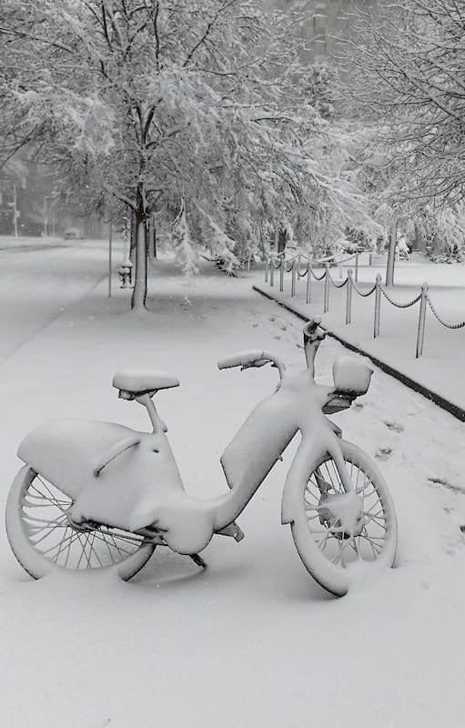 Washington; nieve; el mundo; tormanta