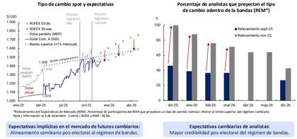 Werning ratificó la continuidad del esquema de flotación cambiaria