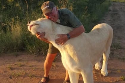West Mathewson paseaba por su reserva con sus dos felinas cuando de pronto ellas comenzaron a jugar brusco, se volvieron contra él y lo dejaron herido de muerte