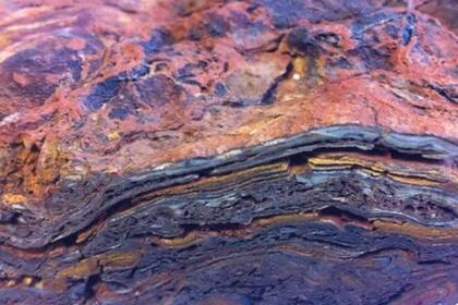 Westall ejemplificó con los microbios fosilizados australianos para evidenciar la dificultad de esta tarea