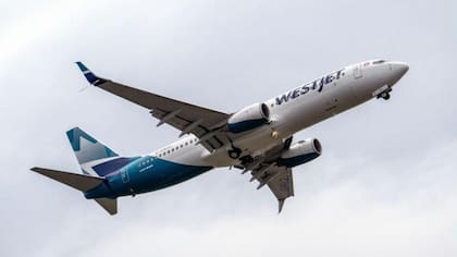 WestJet se vio involucrada en una polémica que quedó registrada en videos