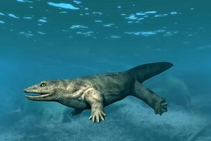 Whatcheeria medía dos metros y tenía dientes afilados, según los estudios