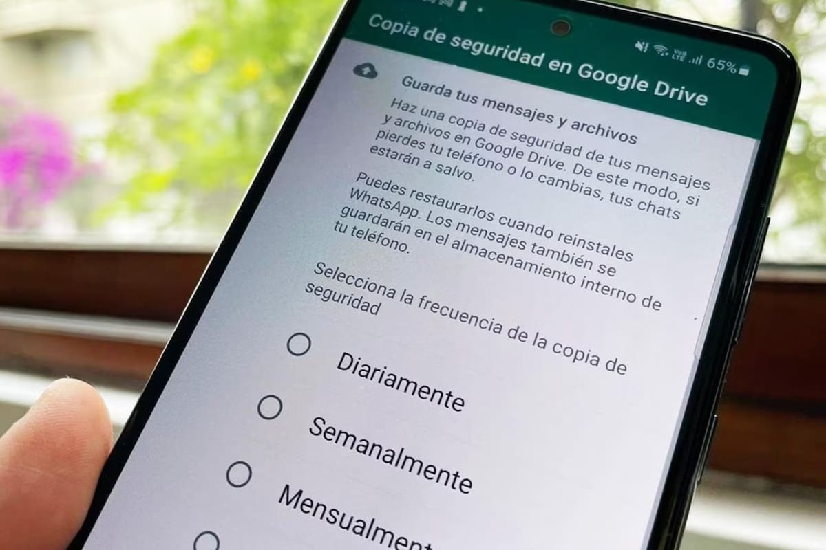 WhatsApp: cuáles son los pasos a seguir si te olvidaste la contraseña de la copia de seguridad